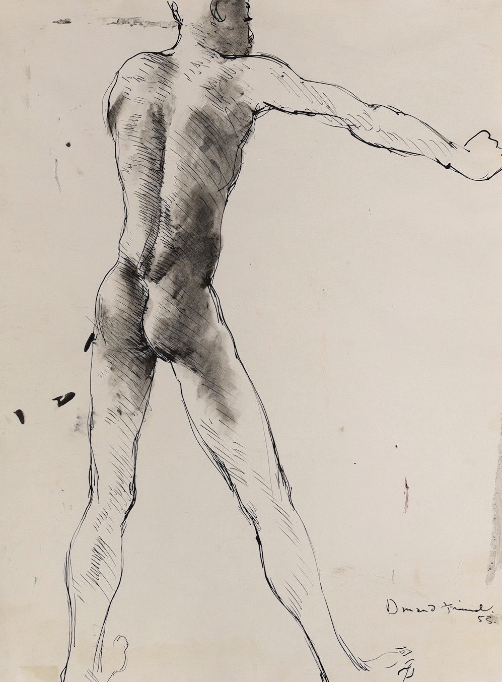 Donald Friend (Australian, 1917-1989), ink and wash, Study of Omu 1953, signed and dated '53, Bridget McDonnel Gallery label verso, 55 x 40cm